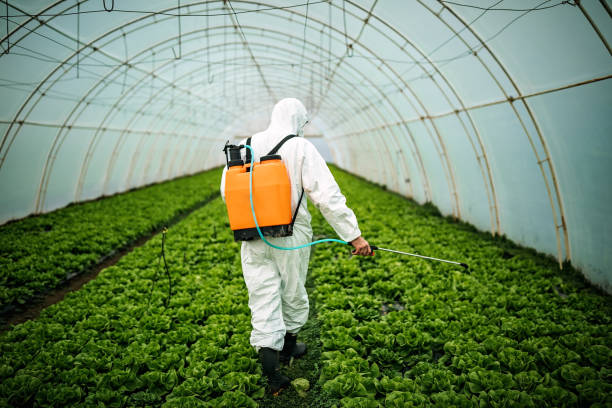 Best Affordable Pest Control Services  in Tabor City, NC