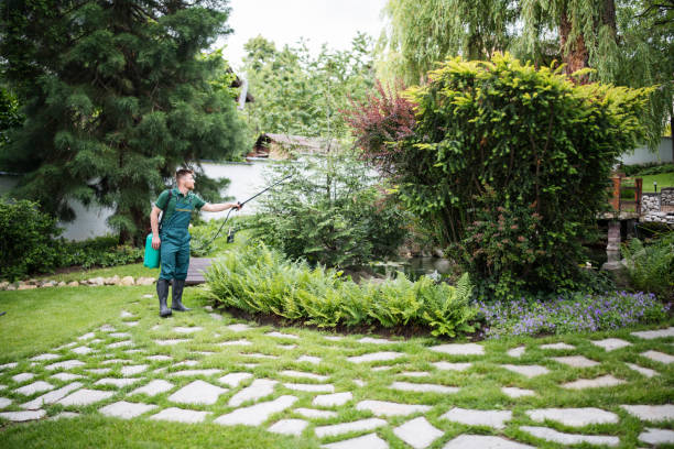 Best Best Pest Control Companies  in Tabor City, NC