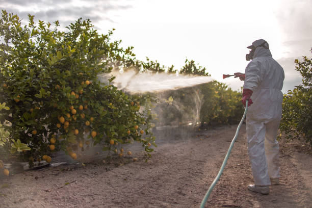 Pest Control Cost in Tabor City, NC