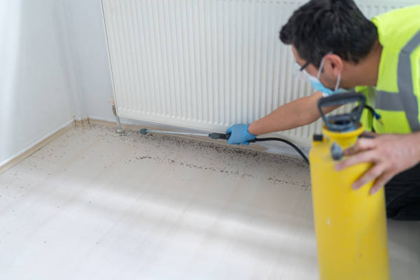 Best Exterminator Services  in Tabor City, NC